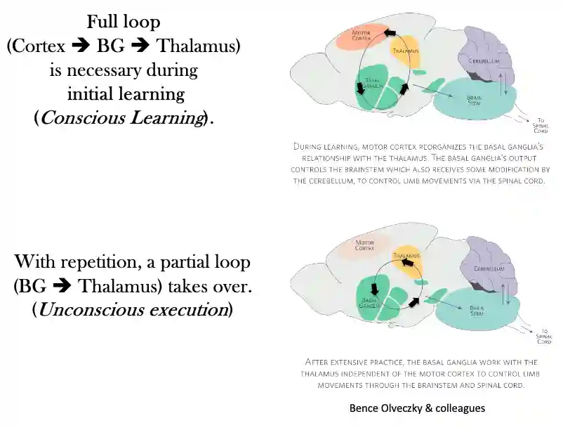 Conditioning Theory-20250816182713743